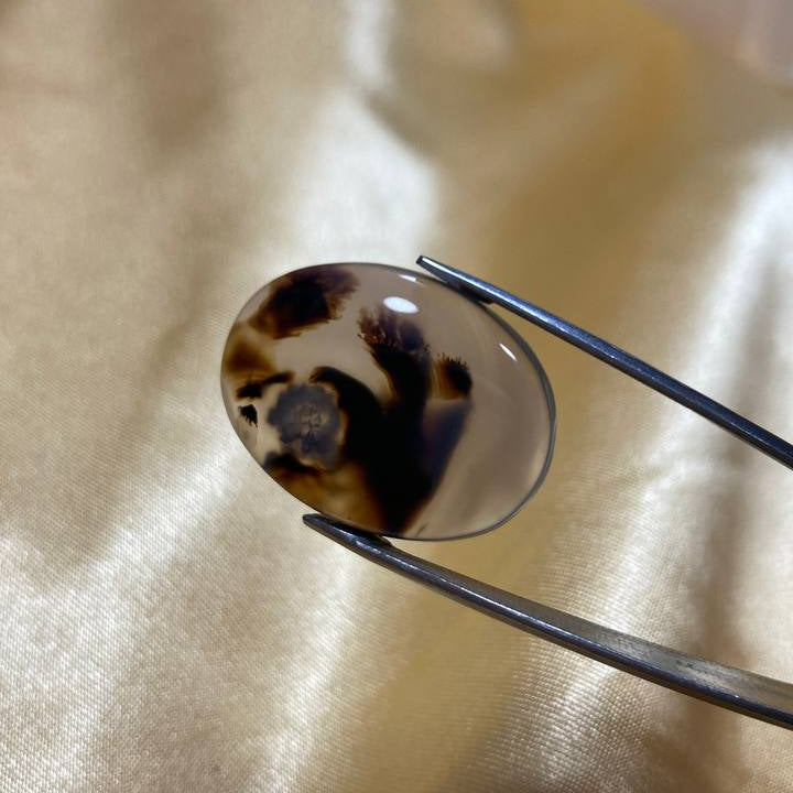 Black Dendritic Agate Gemstone