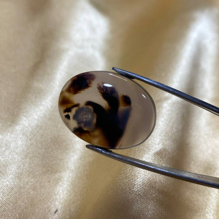 Black Dendritic Agate Gemstone