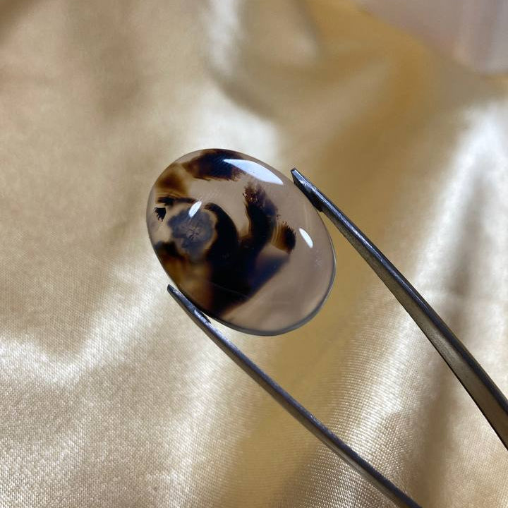 Black Dendritic Agate Gemstone