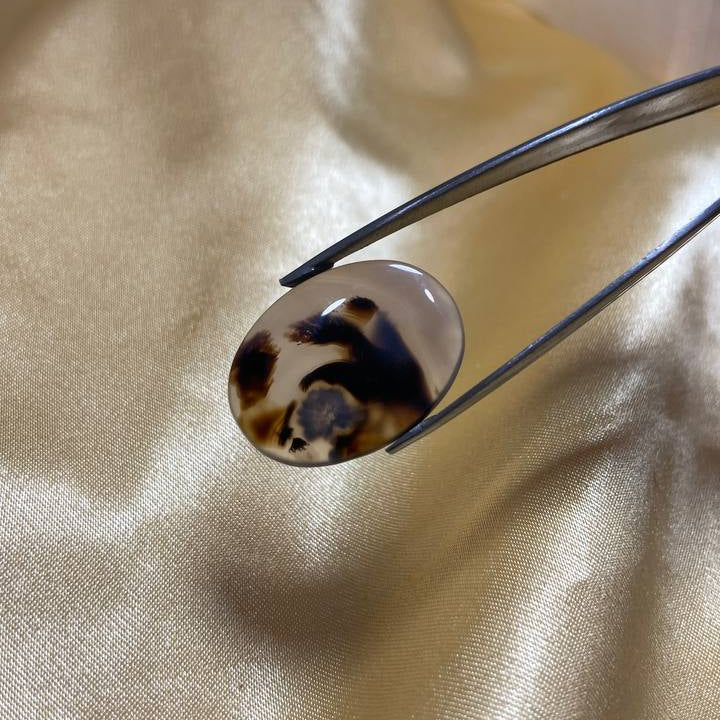 Black Dendritic Agate Gemstone